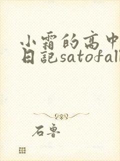 小霜的高中成长日记satofall