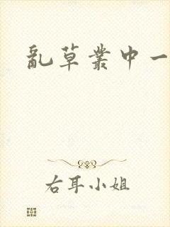 乱草丛中一杆枪