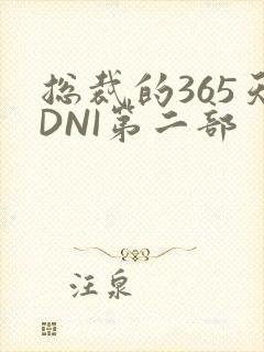 总裁的365天DNI第二部
