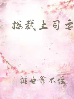 总裁上司要偷心