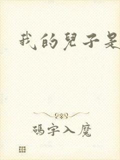 我的儿子是雍正