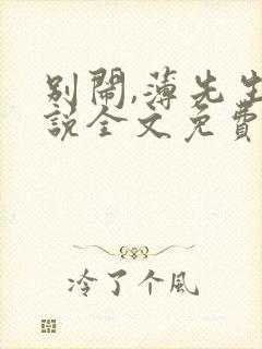 别闹,薄先生小说全文免费阅读