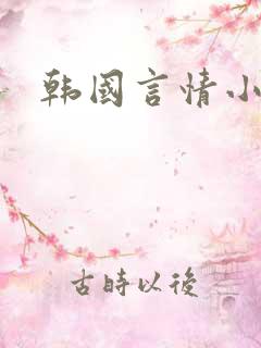 韩国言情小说