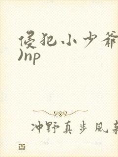 侵犯小少爷(H)np