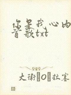 你是我心内的一首歌txt