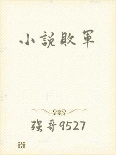 小说败军