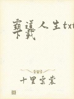 霸道人生txt下载