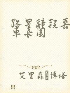 路星辞段嘉衍肉车长图