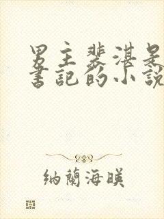 男主裴湛是省委书记的小说