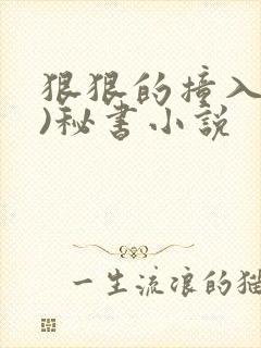 狠狠的撞入(h)秘书小说