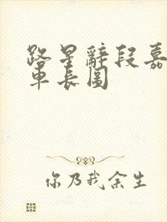 路星辞段嘉衍肉车长图