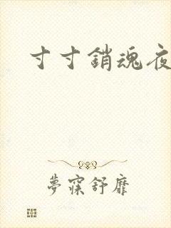 寸寸销魂夜春光