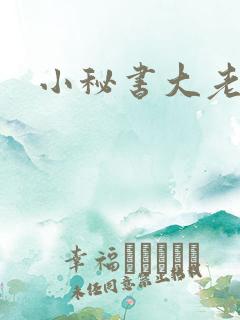 小秘书大老婆