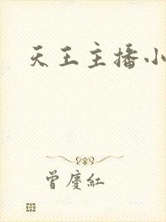 天王主播小说