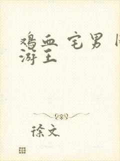 鸡血 宅男 网游王