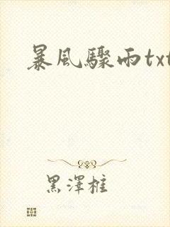 暴风骤雨txt