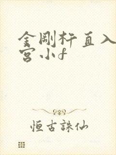 金刚杵直入莲花宫小f