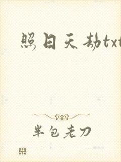 照日天劫txt