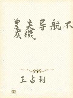 农夫导航不要打灰机