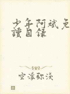 少年阿斌免费阅读目录