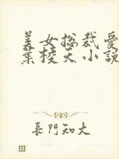 美女总裁爱上我叶棱天小说