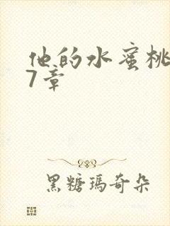 他的水蜜桃第27章
