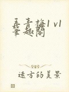 弄青梅1 v1笔趣阁