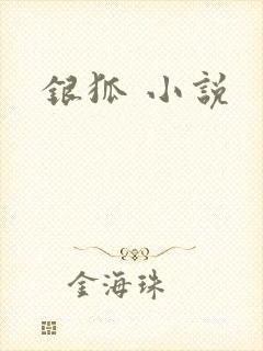 银狐 小说