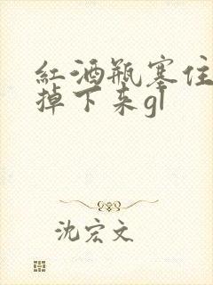 红酒瓶塞住不准掉下来gl