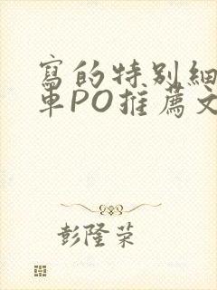 写的特别细的开车PO推荐文