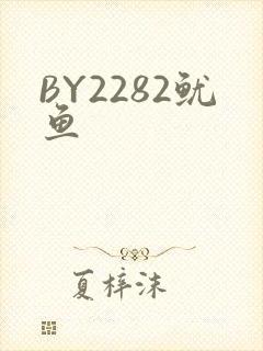 BY2282鱿鱼