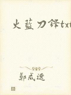 火蓝刀锋txt