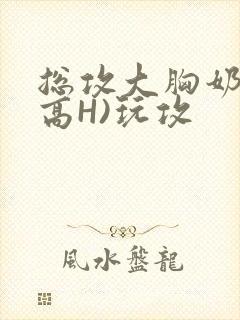 总攻大胸奶汁(高H)玩攻