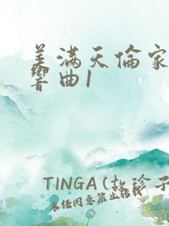 美满天伦家庭交响曲1