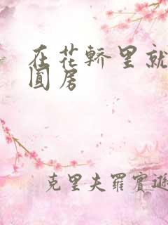 在花轿里就开始圆房