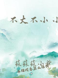 不大不小 小说