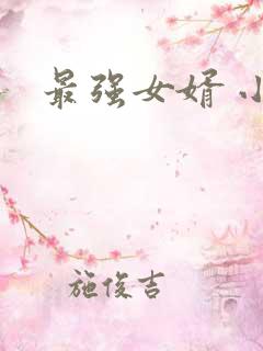 最强女婿 小说