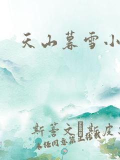 天山暮雪小说