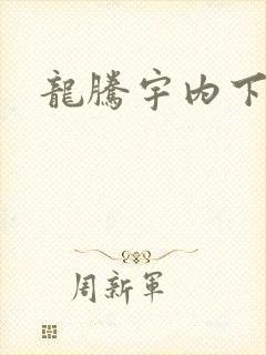 龙腾宇内下载