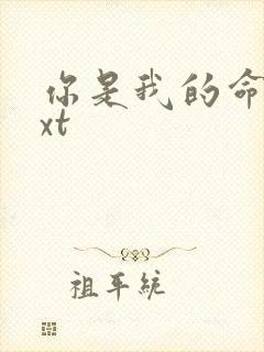 你是我的命运txt