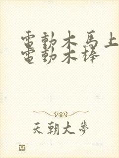 电动木马上两个电动木棒