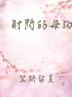 财阀的母狗们