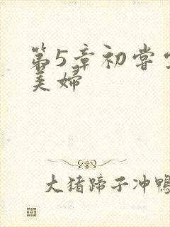 第5章初尝云雨美妇