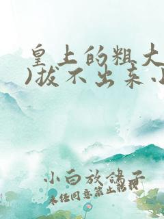 皇上的粗大(h)拔不出来小说