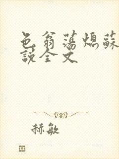 色翁荡熄苏钥小说全文