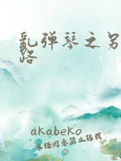 乱弹琴之另一条路