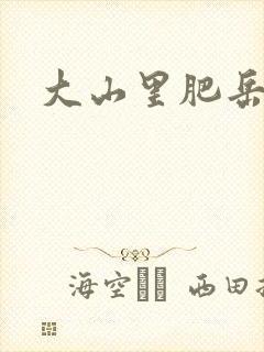 大山里肥岳小说