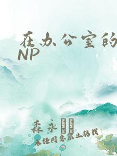 在办公室的椅子NP