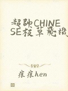 超帅CHINESE校草飞机BLUE