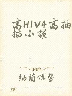 高H1V4高抽插小说